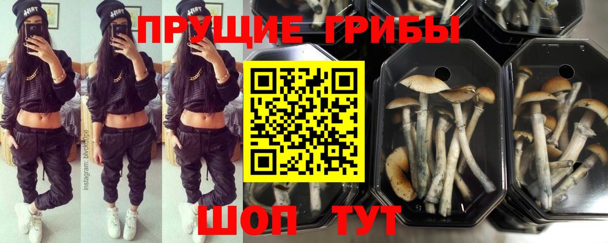 Солнечногорск  где продают   Вход с VPN  Галлюциногенные грибы ЛСД 