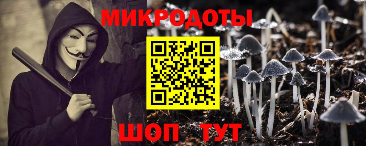 Псилоцибиновые грибы мицелий Солнечногорск